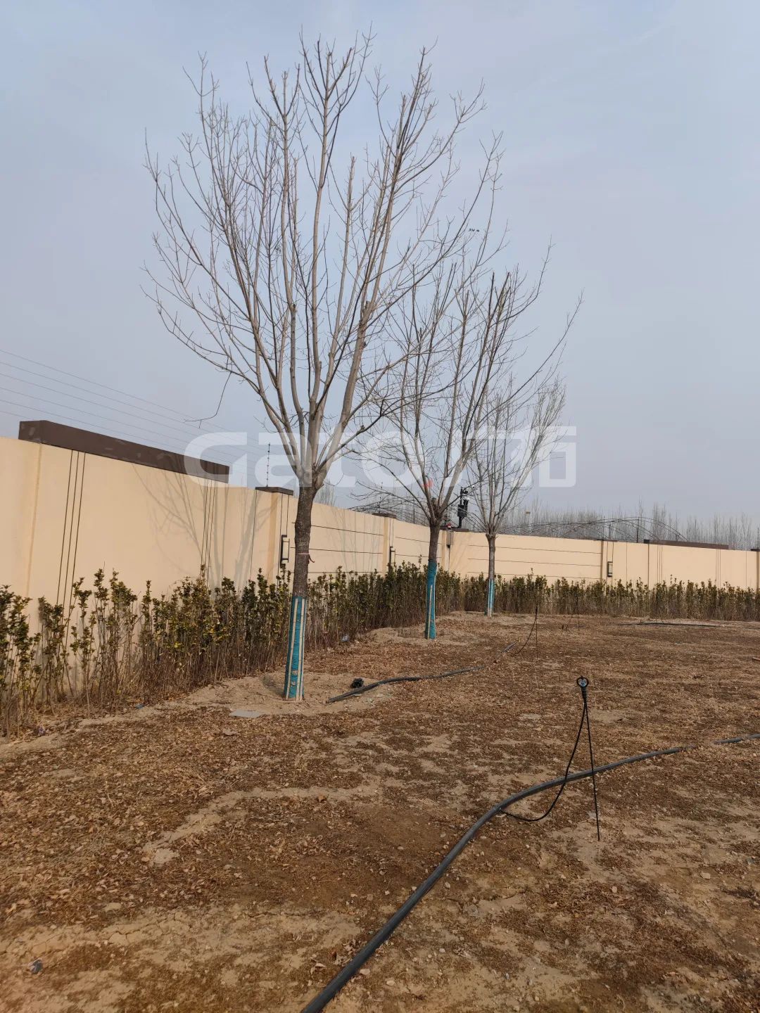 國家建筑節(jié)能技術(shù)國際創(chuàng)新園投產(chǎn)，廣拓G5s守護(hù)周界安全(圖8)