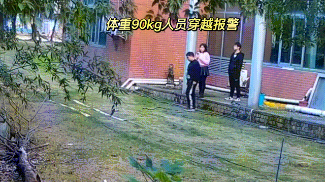 用數(shù)據說話，風雨小動物不誤報！(圖4)