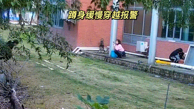 用數(shù)據說話，風雨小動物不誤報！(圖9)