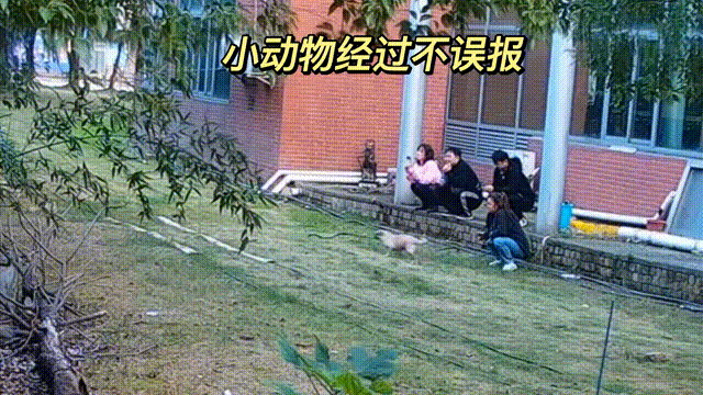 用數(shù)據說話，風雨小動物不誤報！(圖13)